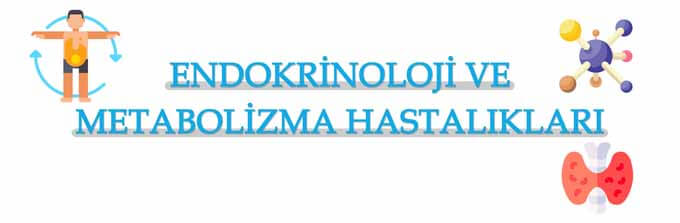  online endokrin doktoru , endokrinoloji doktorları