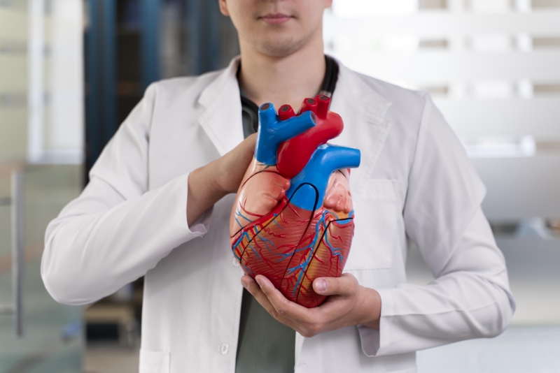 Kalp Damar Tıkanıklığı Belirtileri Nelerdir? Ne Zaman Doktora Gidilmeli?