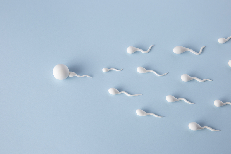 Sperm Sayısı ve Kalitesi Nasıl Artırılır? Bilimsel Yöntemler