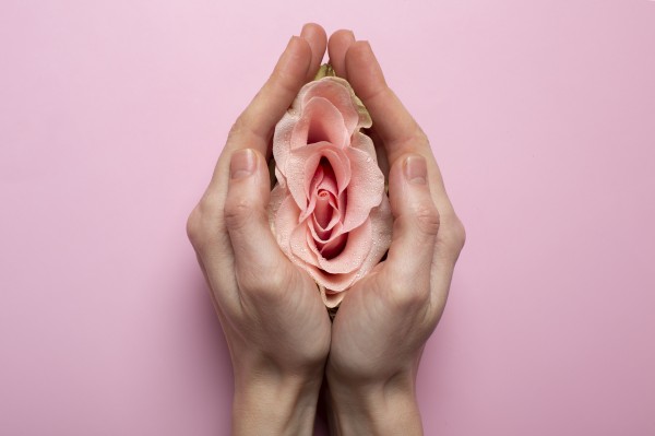 Vajina Estetiği (Genital Estetik) Nedir? Kimler İçin Uygundur? Online Kadın Doğum Uzmanına Danışmanın Önemi 
